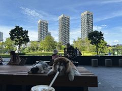 -SAANCI山池咖啡(海上世界文化艺术中心店)