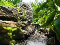 -幽岚山·童话森林