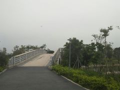 -宝安西湾红树林湿地公园