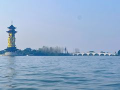 -溱湖国家湿地公园