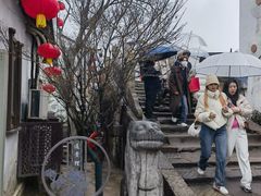 -乾芝斋·苏式糕点·碧螺春茶酥(平江路店)