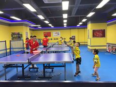 -乐旋乒乓球(深圳南油店)