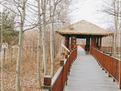 -北京麋鹿生态实验中心