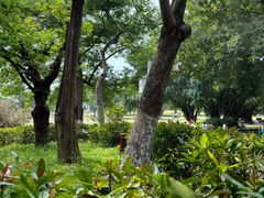 -东莞植物园