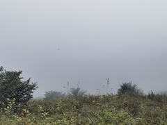 -白草畔自然风景区