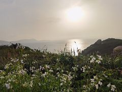 -南麂列岛