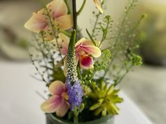 -蝶舍·MAISON PAPILLON