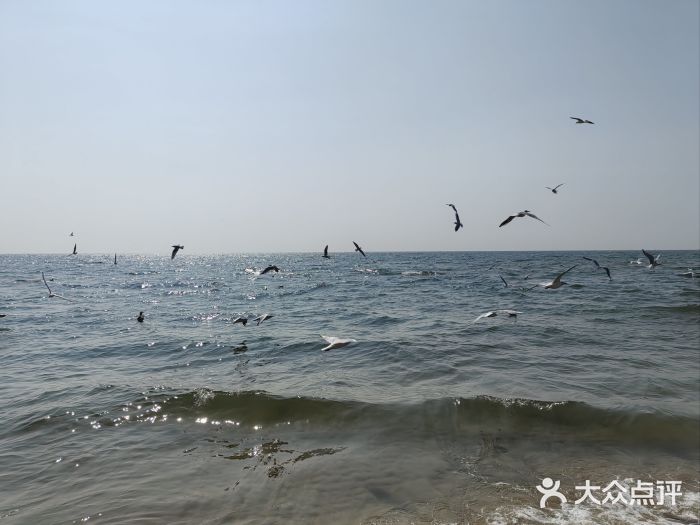 老虎石海上公园图片