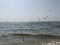 -老虎石海上公园