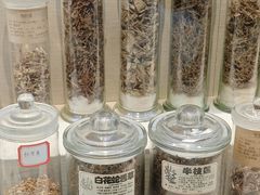 -广东中医药博物馆