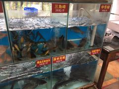 水产区-鲜椒鱼·雅安地标性美食