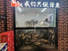 门面-肥鱼屯活鱼锅(惠工街店)