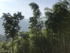 -江南天池