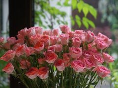 -春暖花开(西溪店)