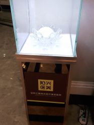 -深圳阳光医疗美容
