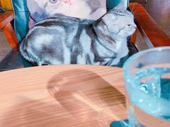 -咖法森林·咖啡  酒吧(天河店)