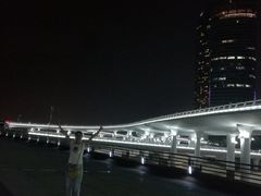 -演武大桥观景平台