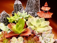 -上海人家花樣年华(中山公园店)