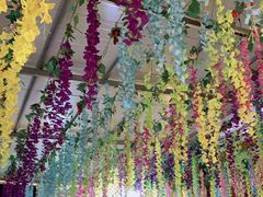 -马白开来特色羊排揪片子  (总店)