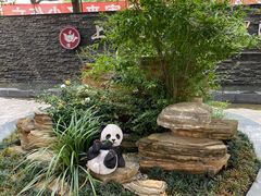 -上海爱以德护理院·康复(宝山院)