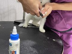 -宠颐生动物医院·小陆分院