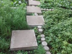 -黑龙江省森林植物园