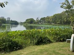 -新江湾城公园