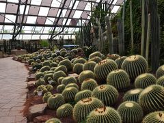 -亿利库布其七星湖沙漠生态旅游区