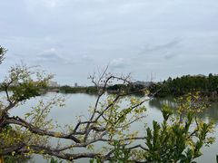 -三垟湿地