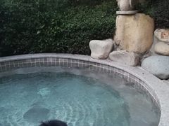 -天目湖涵田半山温泉