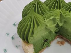 -猫里有甜