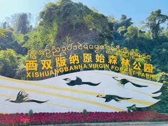 -西双版纳原始森林公园