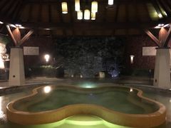 -天目湖涵田半山温泉