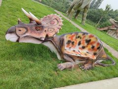 -西部长青自然儿童乐园