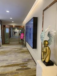 点击看大图 -长沙雅美医疗美容医院
