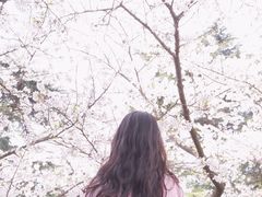 -武汉大学-樱园