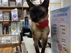 -御宝贝24h宠物医院·转诊中心·CT核磁血透中心(厦门总院)