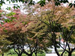 -洨河生态公园