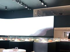 -BLACKSWAN黑天鹅(环球店)