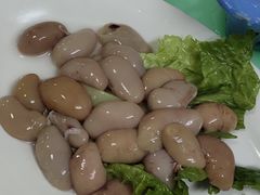 -花苑美食横琴生蚝火锅(拱北粤华路店)