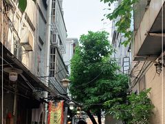 -陈添記·祖傳爽鱼皮·西关老字号(广州首店)