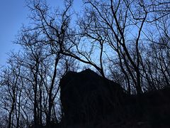 -北京西山国家森林公园