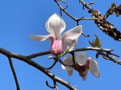 -东华门大街小区