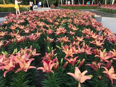 -长春公园(普阳街道)