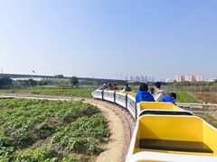 -新地休闲农场