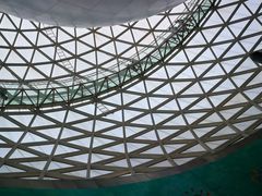 -陕西自然博物馆