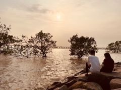 -宝安西湾红树林湿地公园