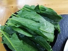 -新乡杨记红焖羊肉火锅(天坛南门店)