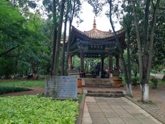 -昆明动物园