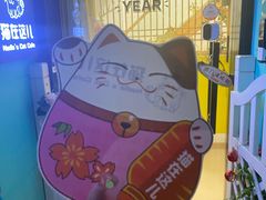 -猫在这儿猫咪咖啡馆·撸猫馆